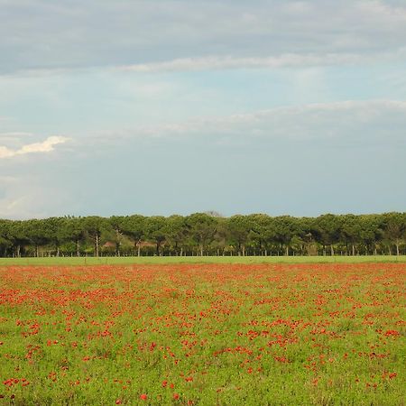 Appartamenti Mirella Bibione Eksteriør billede